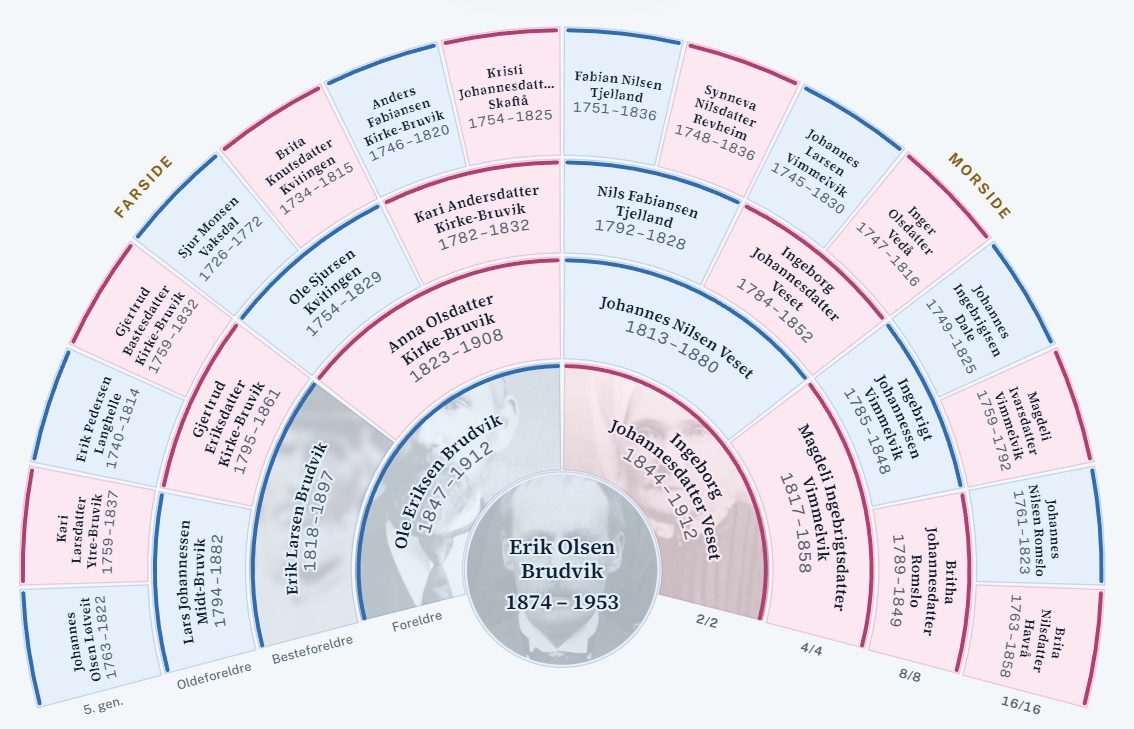Fan chart with five generations of ancestors